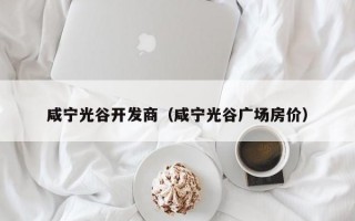 咸宁光谷开发商（咸宁光谷广场房价）