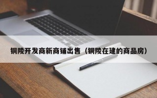 铜陵开发商新商铺出售（铜陵在建的商品房）