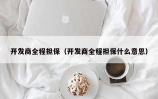 开发商全程担保（开发商全程担保什么意思）