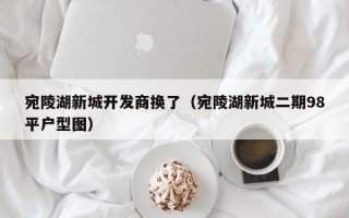 宛陵湖新城开发商换了（宛陵湖新城二期98平户型图）