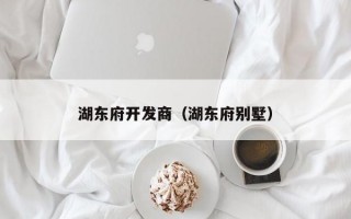 湖东府开发商（湖东府别墅）