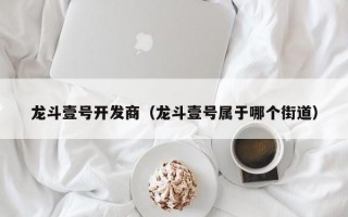 龙斗壹号开发商（龙斗壹号属于哪个街道）