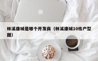 林溪康城是哪个开发商（林溪康城10栋户型图）