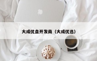 大成优盘开发商（大成优选）